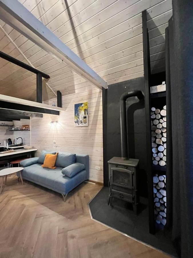 Mini Valley House 1 Sita Buzaului ภายนอก รูปภาพ